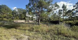 1142 Florence St E Lehigh Acres FL 33974 1142 Florence St E Lehigh Acres FL 33974