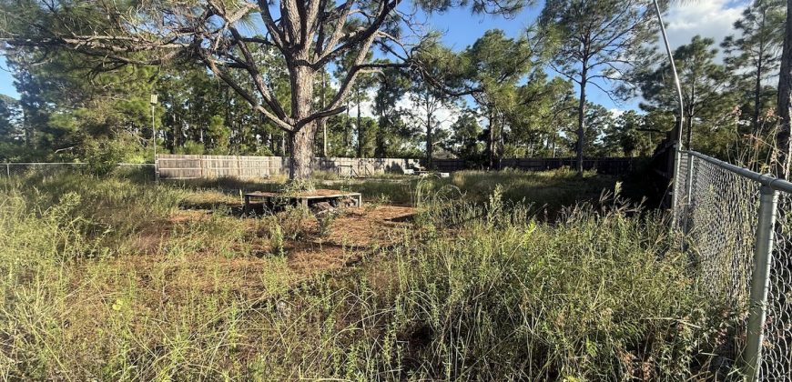 1142 Florence St E Lehigh Acres FL 33974 1142 Florence St E Lehigh Acres FL 33974